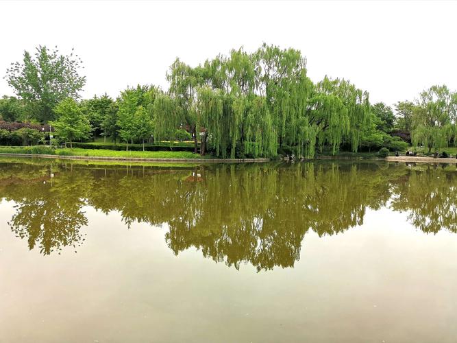 北京软件园是个高科技集中的园区,不少高科技企业集中在园区内